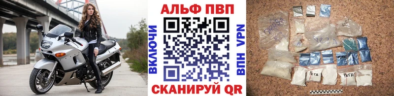 Альфа ПВП СК КРИС  Орёл 