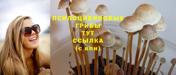 винт Бугульма