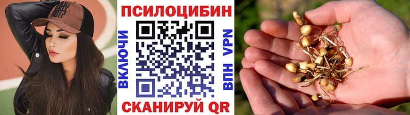blacksprut зеркало  где найти наркотики  Орёл  Псилоцибиновые грибы Cubensis 