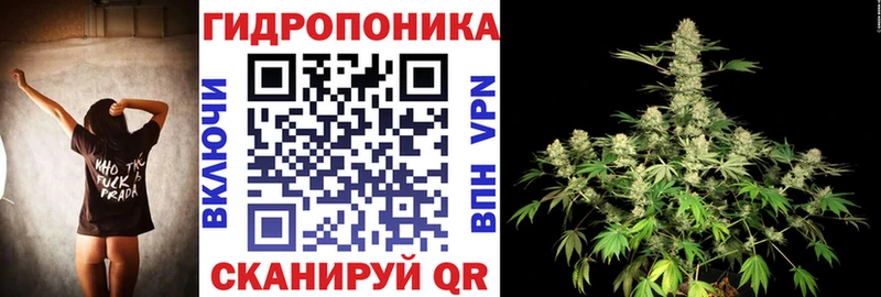 Канабис планчик Орёл