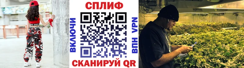 ОМГ ОМГ   купить наркотики сайты  Орёл  Бошки марихуана OG Kush 